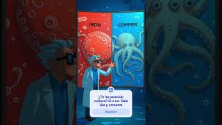 La sangre de los pulpos es azul, serán extraterrestres #pulpos #curiosidades #saber #entretenimiento