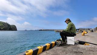 絶海の孤島ならただの堤防でもヤバい魚が釣れるのか？母島でかぶせ釣りしてみたら…【小笠原母島遠征#2】