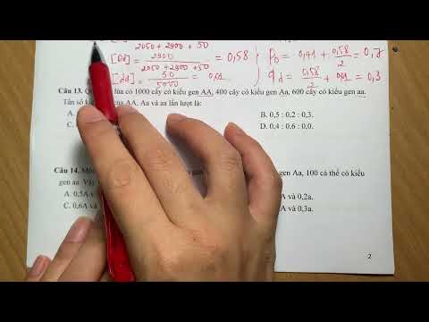 Video TRẮC NGHIỆM CẤU TRÚC DI TRUYỀN QUẦN THỂ PHẦN 1 [SINH... - youtube