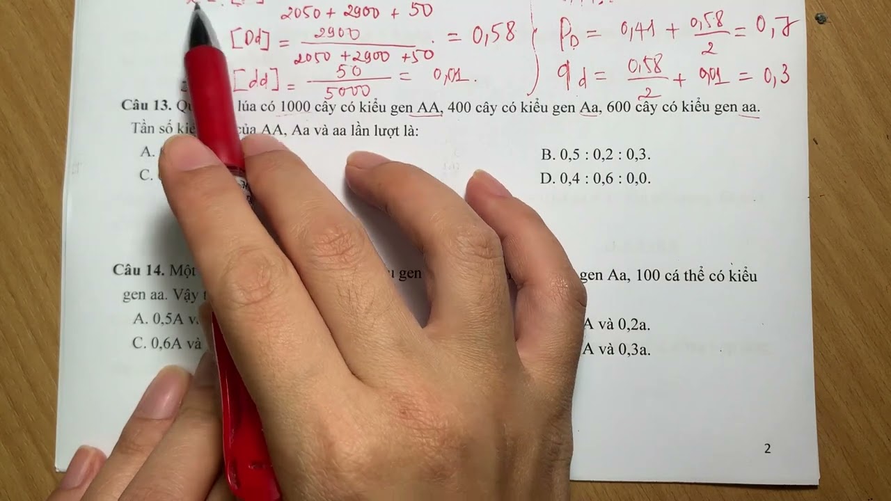 TRẮC NGHIỆM CẤU TRÚC DI TRUYỀN QUẦN THỂ PHẦN 1  [SINH 12]