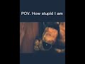 POV How stupid I am