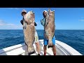 YOU WONT BELIEVE HOW MUCH THESE FISH SOLD FOR... GIANT BLACK GROUPERS IN THE BAHAMAS (Spearfishing)