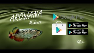 Arowana Madness App screenshot 5