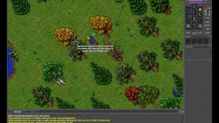 Tutorial: Começando a jogar Tibia (parte 2 de 3)