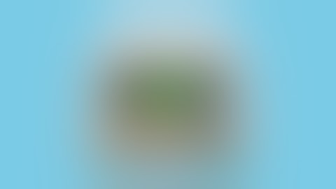 Introduction Video to the PTeye™ Parathyroid Detection System: System Use during Surgery