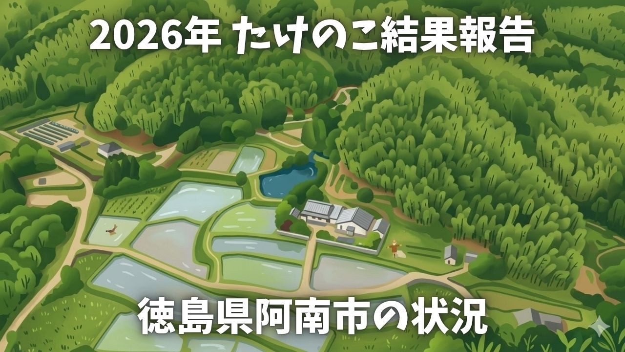今年はめっちゃ頑張りました!