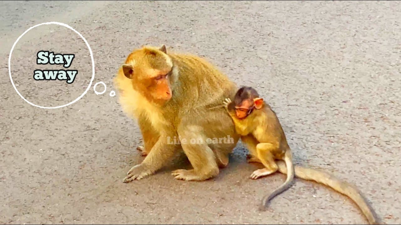 He don’t have more passion to take care you. YouTube