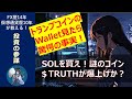 【トランプコイン】次は謎のトークン$TRUTHが仕掛けられるかもしれない。とりあえず、まずはSOL（ソラナ）買え！