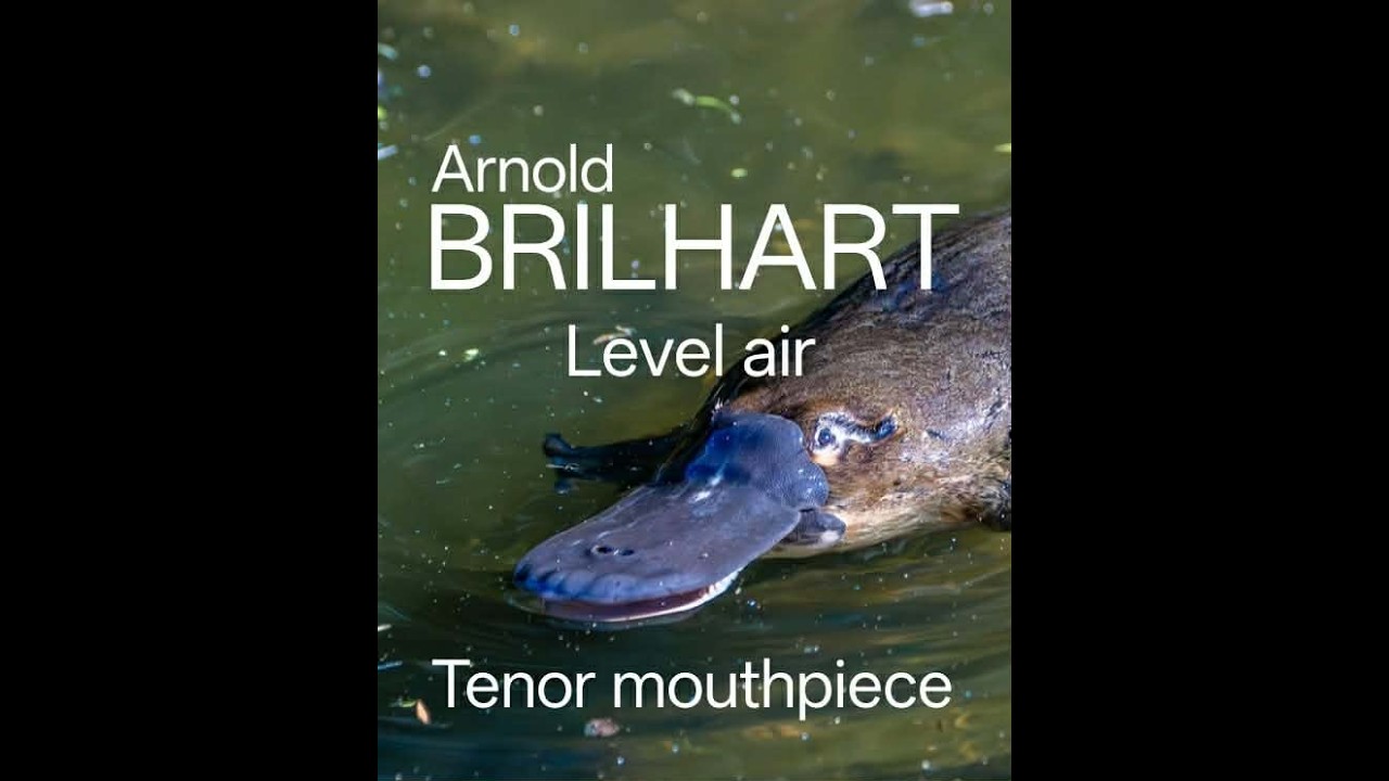 Brilhart Level air mouthpiece looks like a platypus - YouTube