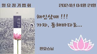 [일요정기법회] 2024년 04월 21일 해인삼매! 가자, 동해바다로~~~