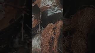 Download Lagu vibes hujan|| hd g?.#cinematic #cinematicandroid MP3 Download Lagu vibes hujan|| hd g?.#cinematic #cinematicandroid MP3