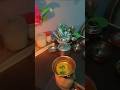 Tiny Golgappa Making 💛 | Satisfying Mini Cooking Video #miniaturecooking #miniature #minikitchen