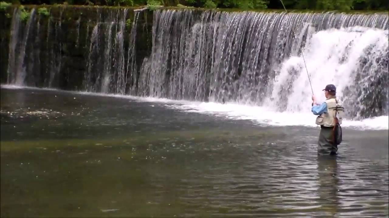 Rockbridge Mill and Rainbow Trout Ranch YouTube