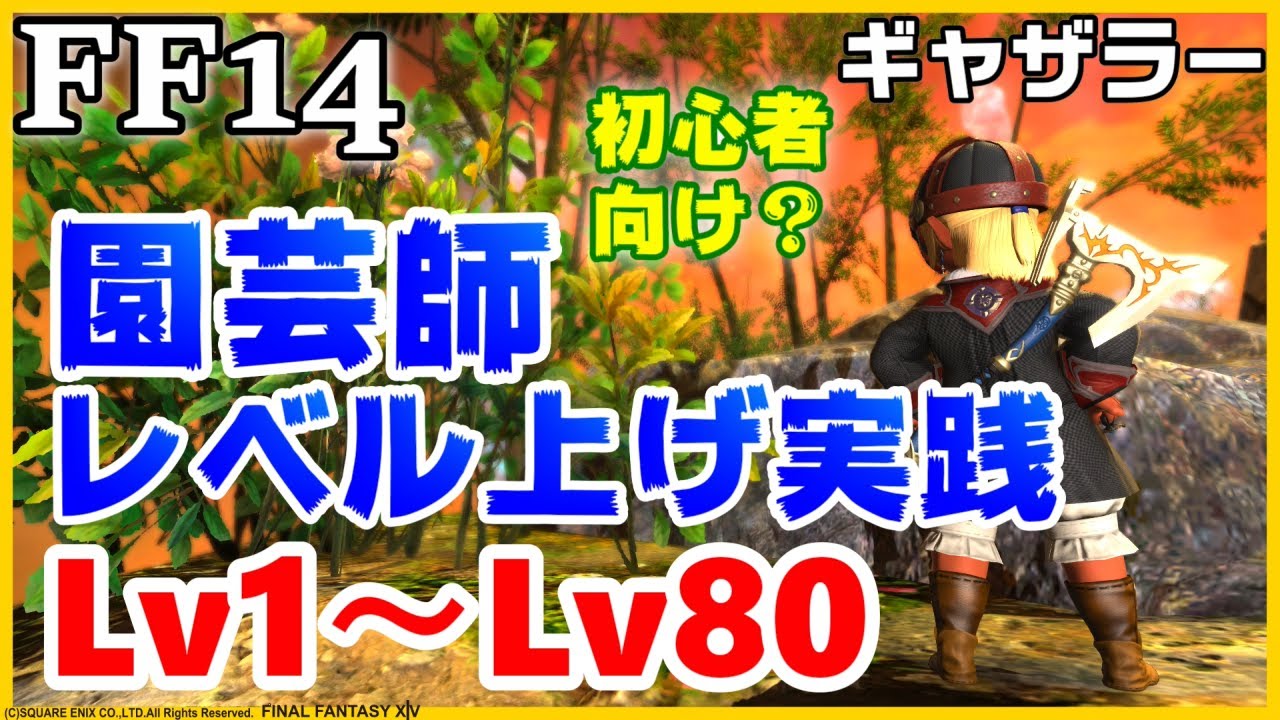 Ff14 ギャザラー 園芸師 簡単レベル上げ Lv1から80にしますっ 初心者さん歓迎 レベリング ディアデム諸島 パッチ5 4x版 Youtube