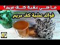 ما هي عشبة  كف مريم؟ جنة الأعشاب _فوائد الأعشاب    #ما_هى_عشبة_كف_مريم؟