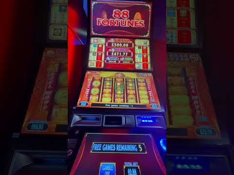 Bonus Bees Split $500! #bingo