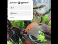 வாழ்க்கை