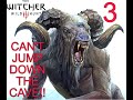 The Witcher 3: Wild Hunt (Let's finish the contract : Mysterious Tracks)