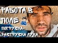 ЖЕСТЬ! РАБОТА В ПОЛЕ, НА ЛУКЕ. ПОГРУЗКА-РАЗГРУЗКА ЛУКА [#4]