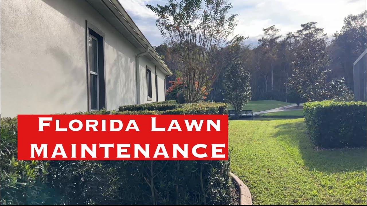 2023 Florida Lawn Maintenance 16 YouTube 2023-florida-lawn-maintenance-16-youtube