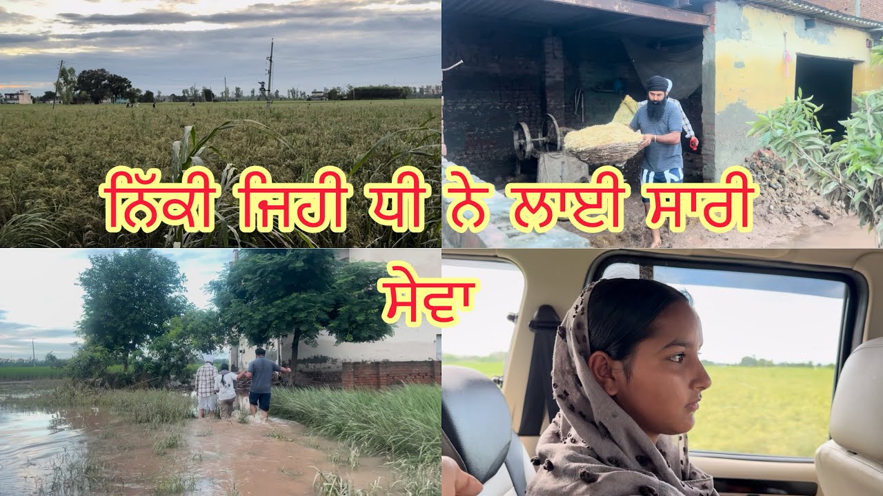 Nikki jihi kudi ne lai sanu waddi sari sewa