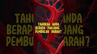 Tahukah anda? Berapa panjang pembuluh darah manusia? #faktaunik #faktarandom #pengetahuan #shorts