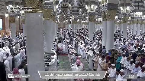 صلاة المغرب للشيخ عبدالمحسن القاسم من المسجد النبوي 29 محرم 1447 من سورة فصلت