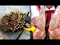 15 Insectos Con Las Picaduras Más VENENOSAS Del Mundo 😨