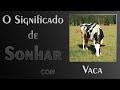 💤 O Que Significa Sonhar com Vaca? É algo bom? Ou algo ruim?