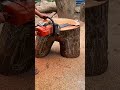Chainsaw carves rustic stool from multi-trunk tree stump