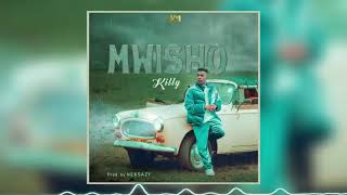 Killy - Mwisho (Official Audio)