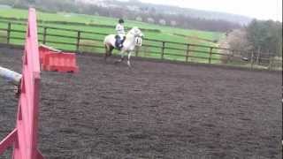 Broomy Stable Mates 5. Fay On Fern And Laurie On Prince