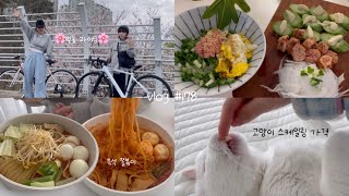 브이로그 #178 쫄볶이😋뼈없는 갈비찜🍖명란버터밥! 고양이 스케일링 비용💵🏥🐱