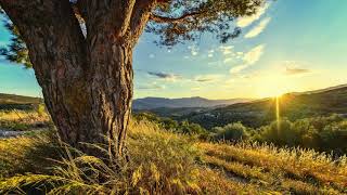 Na Uchiteliameditation Musicpeter Deunovна Учителя