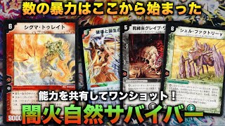 デュエルマスターズ　クラシック DuelMasterClassic05] The deck destruction deck that won the
