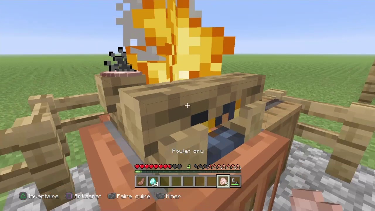 Minecraft rp j adopte un chien qui parle partie 2 YouTube