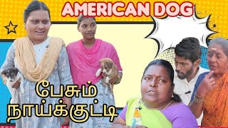 இந்த நாய்க்குட்டி பேசும், பாட்டு பாடும், டான்ஸ் ஆடும்,வேலையெல்லாம் செய்யும் #comedy #funmoviemusic 