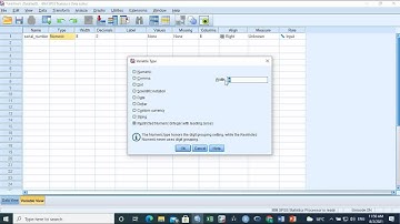 SPSS PART2   SPSS  MANUAL DATA ENTRY