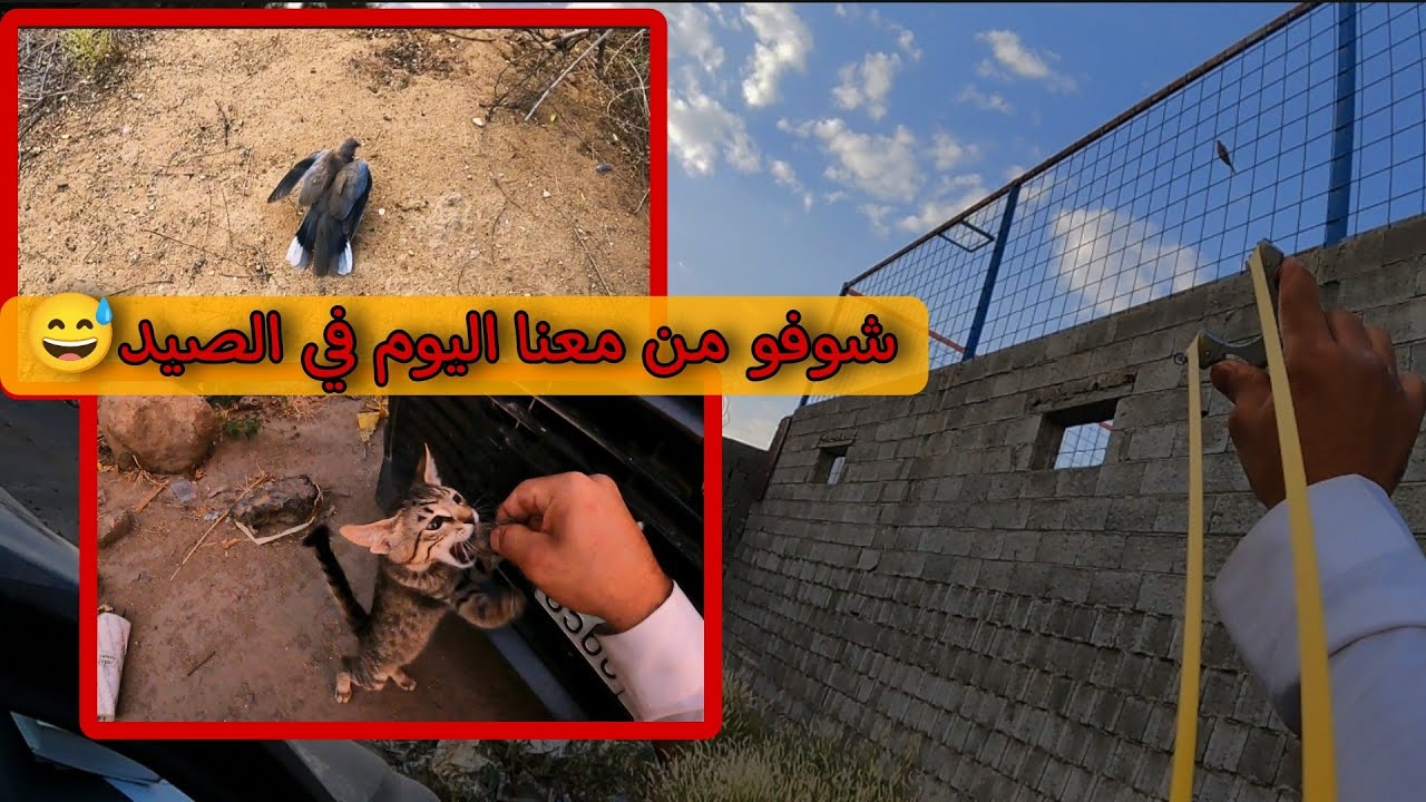 У нас сегодня новый гость 😂 Жизнь в дикой природе. Часть 53