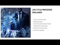 Life Cycle Process Choice Explained