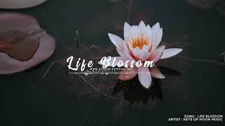 Life Blossom by Keys of Moon Music - Cinematic - Classical - Emotional - Piano - No Copyright Music