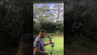 Golden eagle pt2