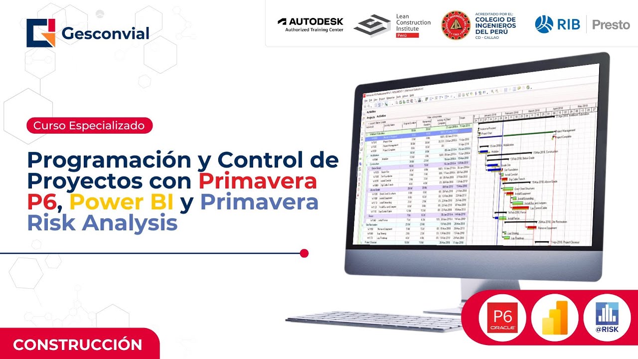 Curso Especializado - Programación y Control de Proyectos con Primavera ...