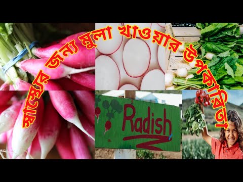 ভিডিও: মুলা: স্বাস্থ্যের জন্য উপকারী এবং ক্ষতির