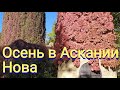 Аскания Нова Часть 2 Осень