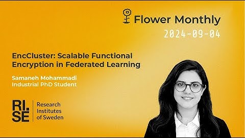 EncCluster: Scalable Functional Encryption in Federated Learning (Flower Monthly 2024-09)