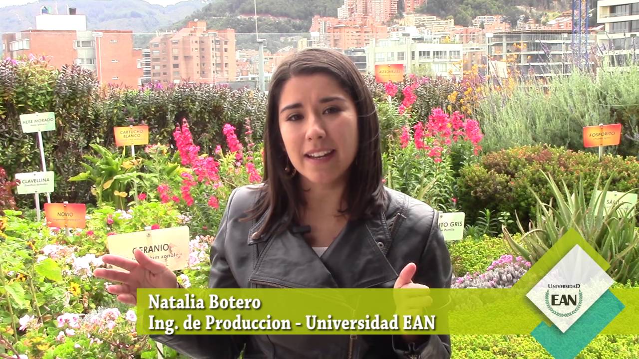 Egresada de Ingeniería de producción nos cuenta su experiencia