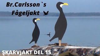 Skarvjakt Del 15