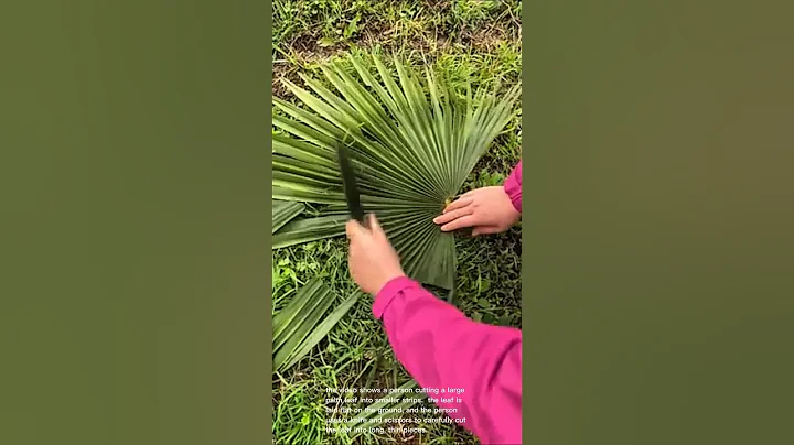 Palm leaf crafting: cutting and preparing