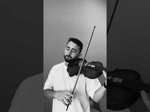 Sezan Aksu -